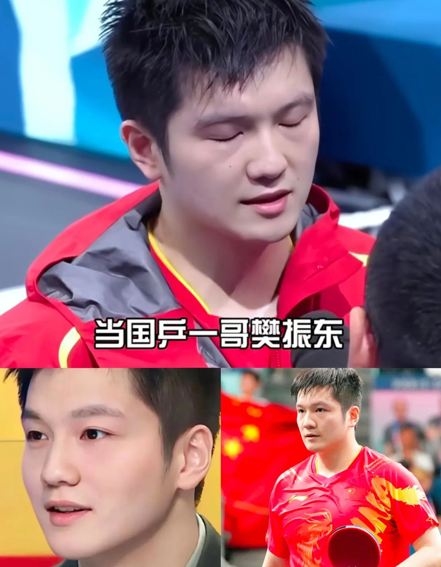 中国乒乓球队完胜韩国乒乓球队,樊振东三分雨点燃全场 中国乒乓球队完胜韩国乒乓球队,樊振东三分雨点燃全场