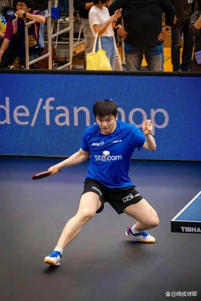 比利时乒乓球队血洗韩国乒乓球队,樊振东绝境逆转的简单介绍 比利时乒乓球队血洗韩国乒乓球队,樊振东绝境逆转的简单介绍