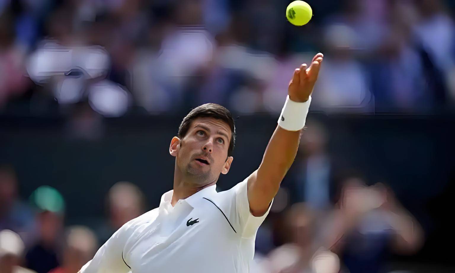 法国网球队横扫德国网球队,德约科维奇高光表现的简单介绍 法国网球队横扫德国网球队,德约科维奇高光表现的简单介绍