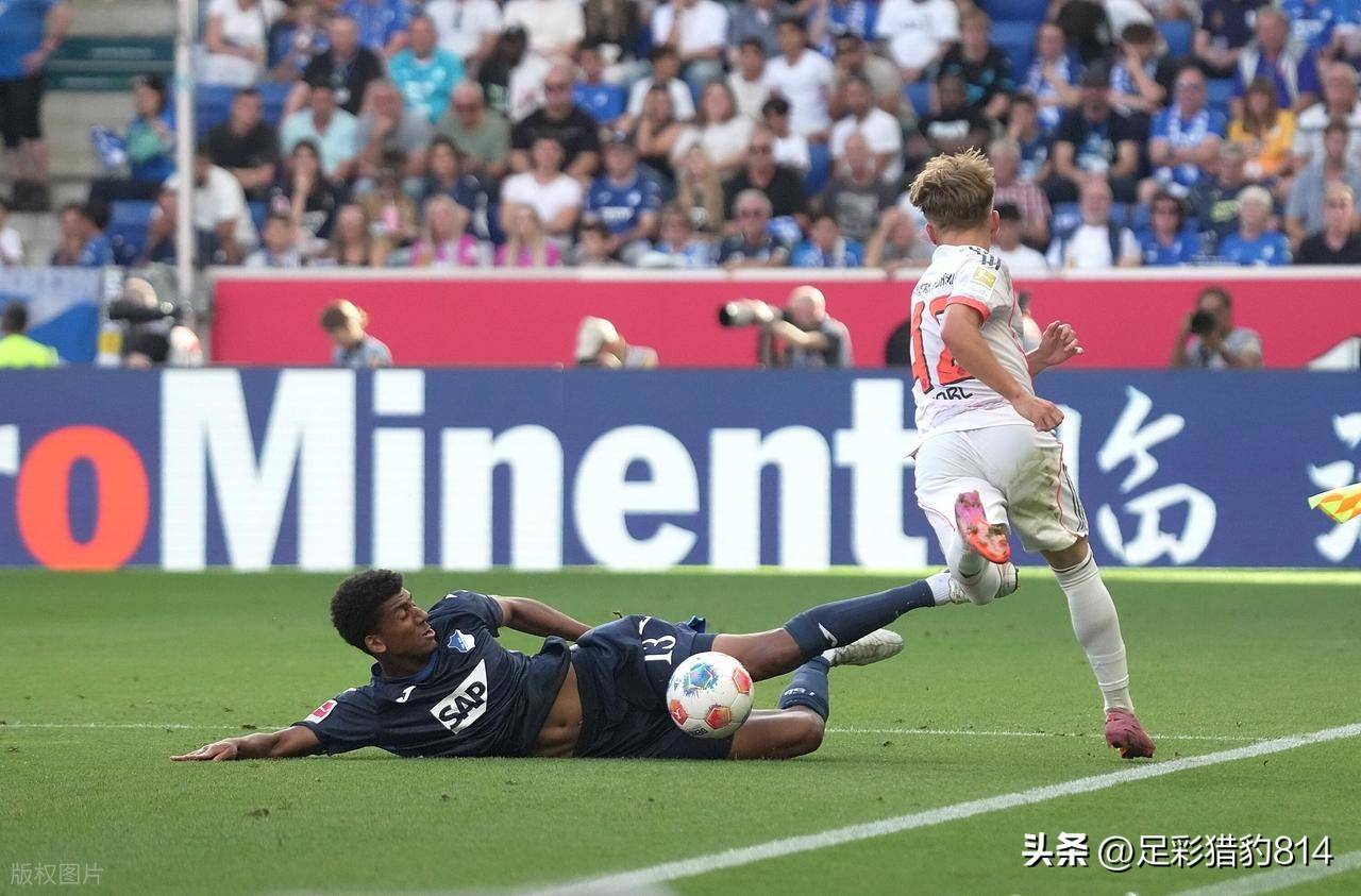 包含霍芬海姆连吞连败,法甲战绩持续低迷的词条 包含霍芬海姆连吞连败,法甲战绩持续低迷的词条